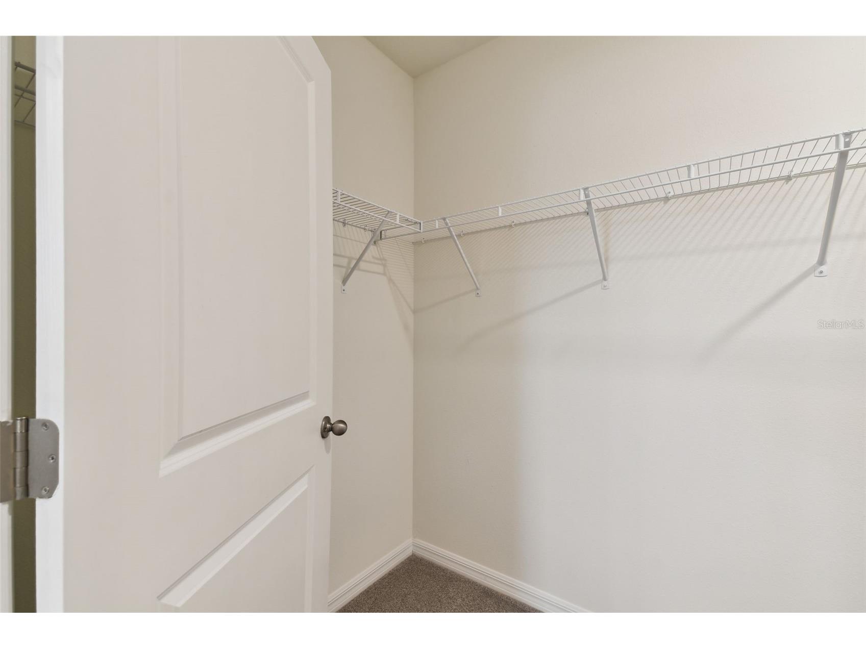 33405 Hamilton Hill Lane Wesley Chapel FL 33545 TB8497065 image36