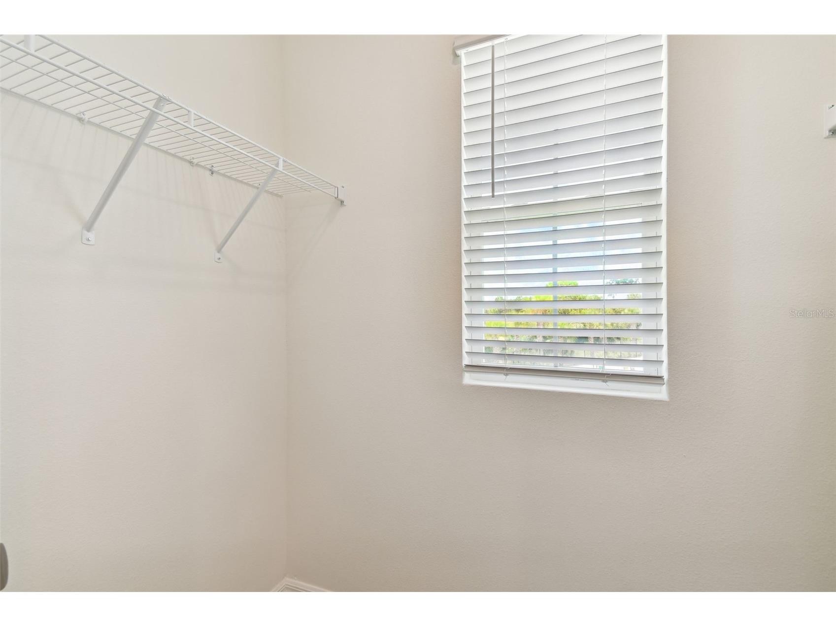 33405 Hamilton Hill Lane Wesley Chapel FL 33545 TB8497065 image37