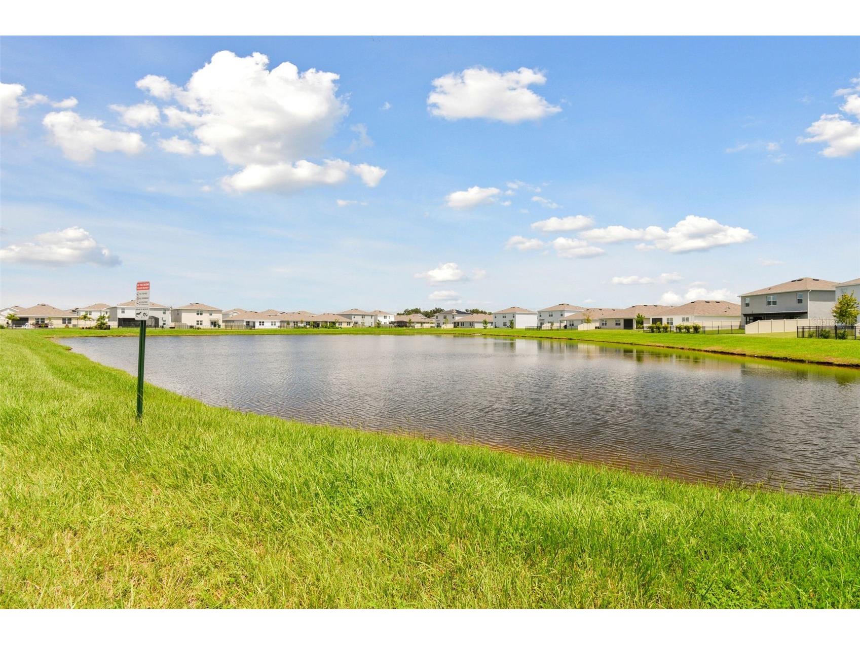 33405 Hamilton Hill Lane Wesley Chapel FL 33545 TB8497065 image43