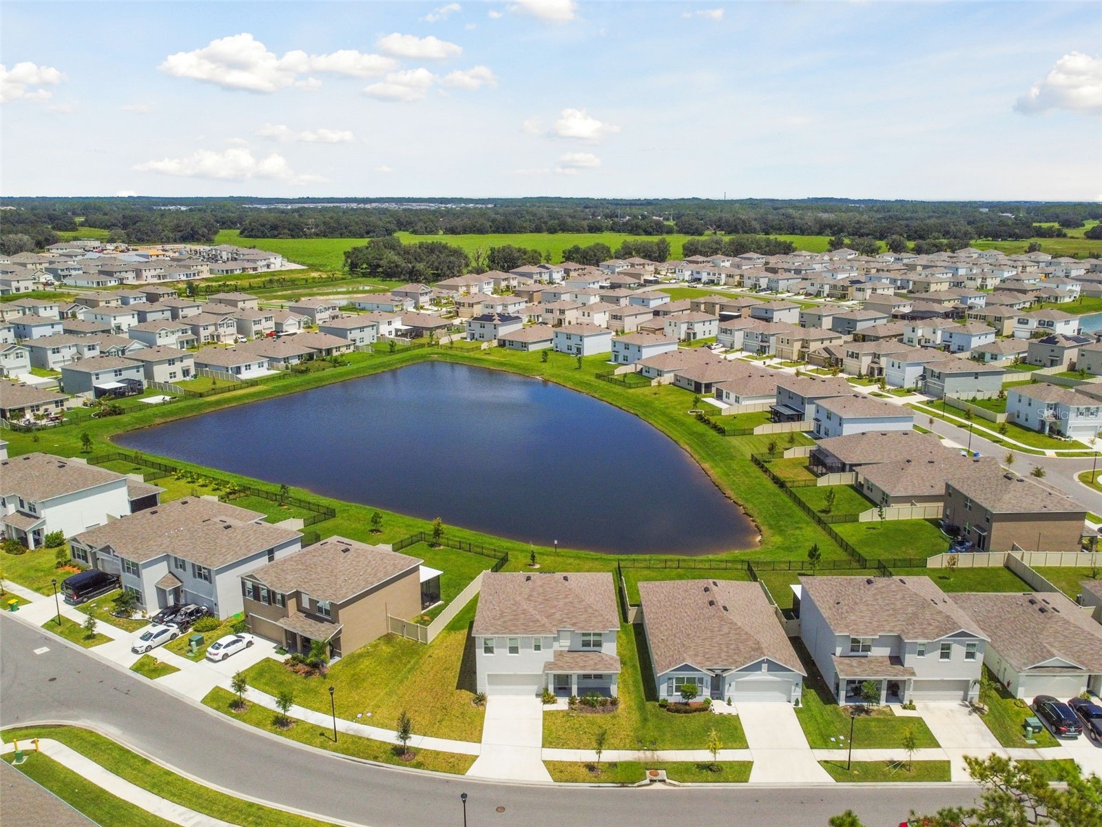 33405 Hamilton Hill Lane Wesley Chapel FL 33545 TB8497065 image46