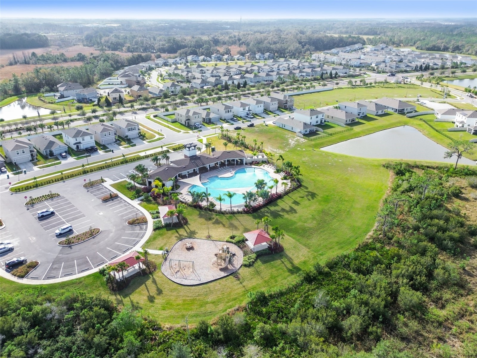33405 Hamilton Hill Lane Wesley Chapel FL 33545 TB8497065 image47