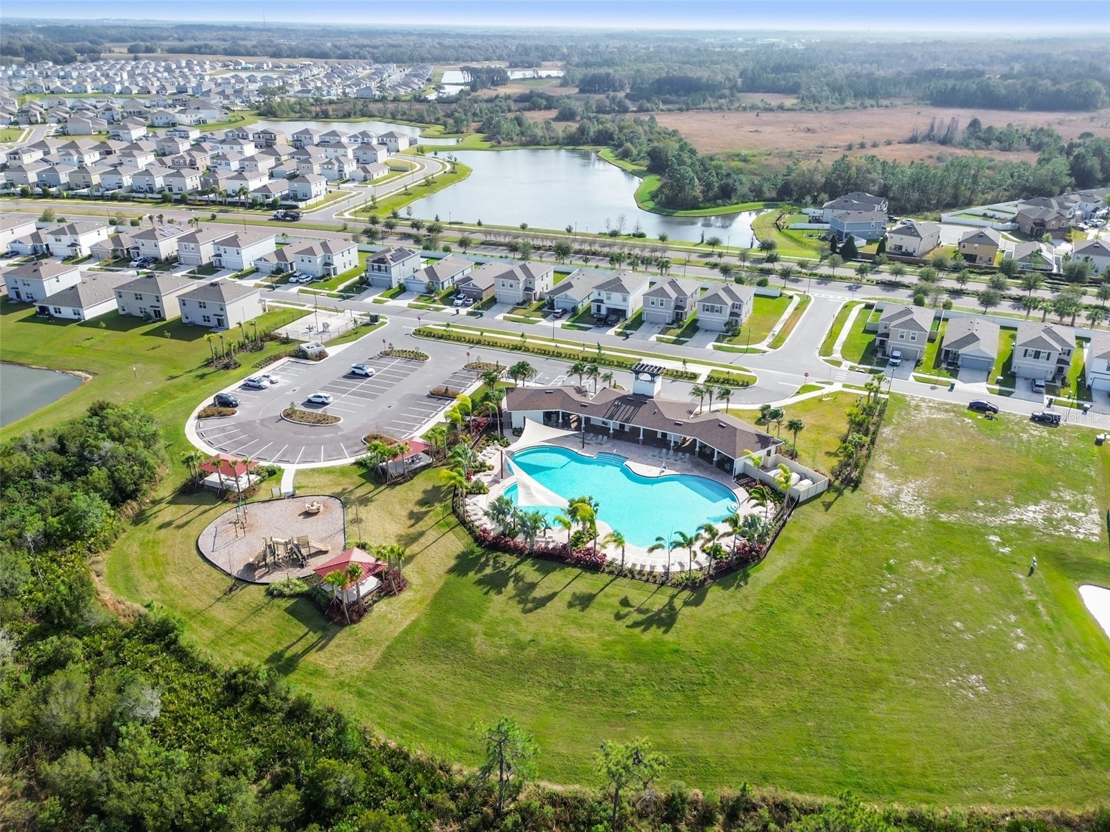 33405 Hamilton Hill Lane Wesley Chapel FL 33545 TB8497065 image48