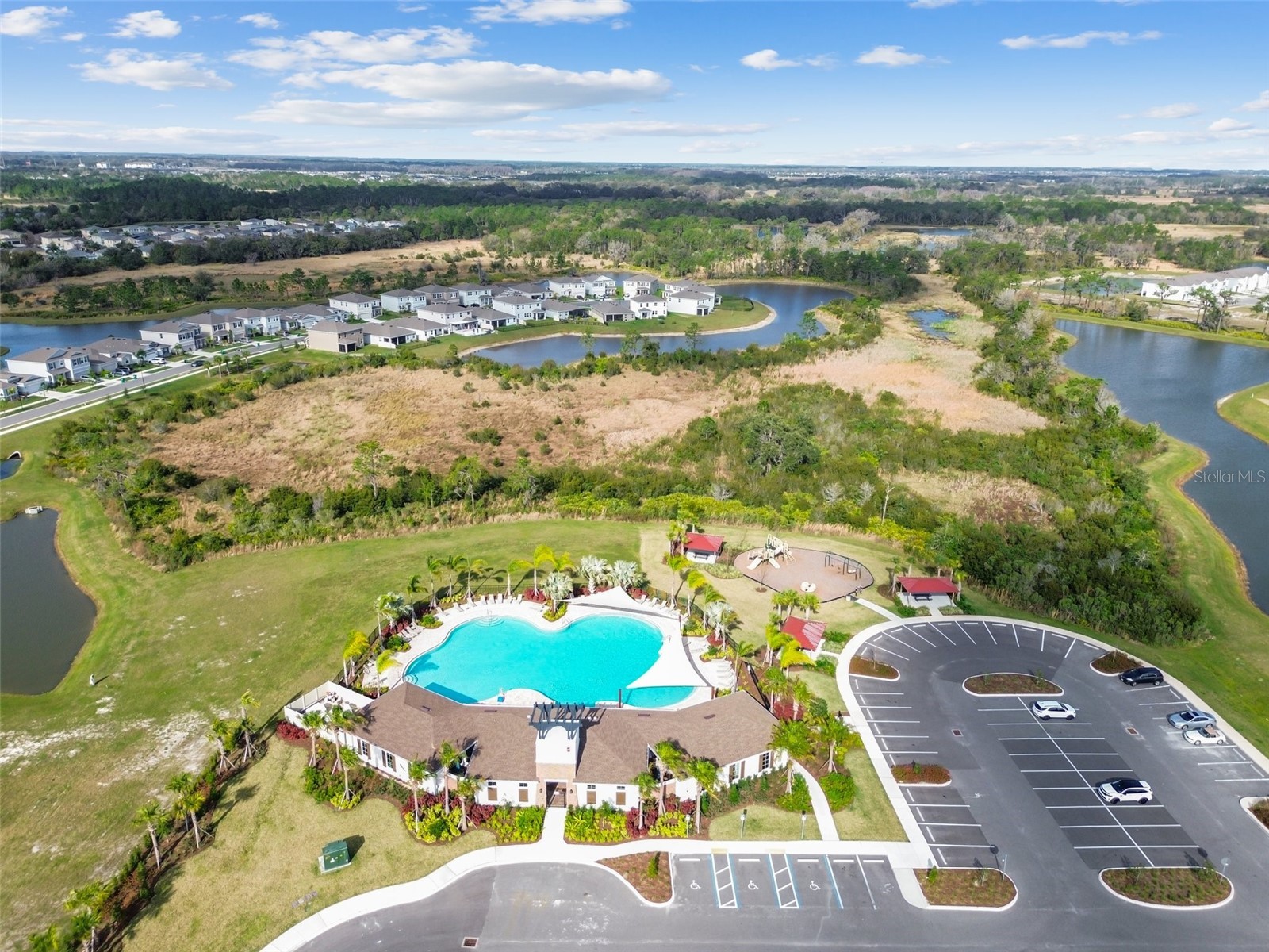 33405 Hamilton Hill Lane Wesley Chapel FL 33545 TB8497065 image49