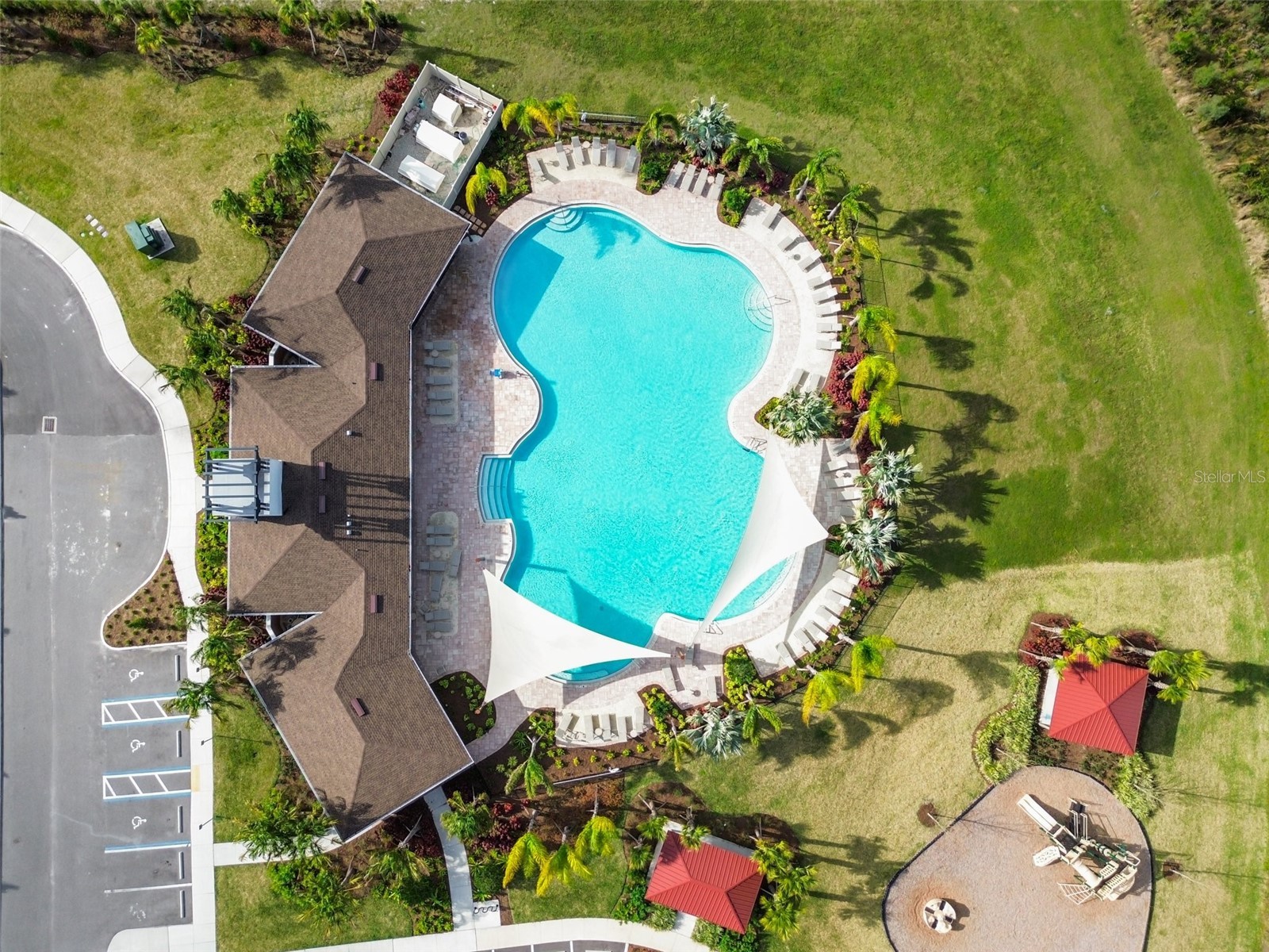 33405 Hamilton Hill Lane Wesley Chapel FL 33545 TB8497065 image50