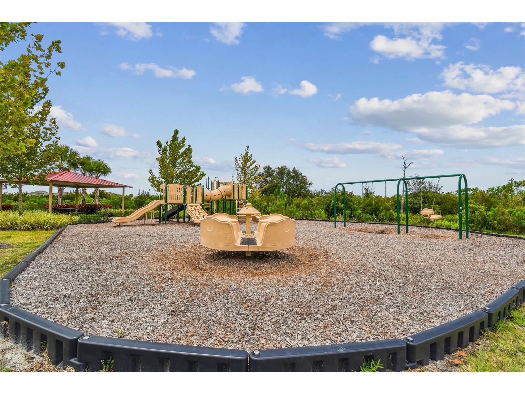 33405 Hamilton Hill Lane Wesley Chapel FL 33545 TB8497065 image52