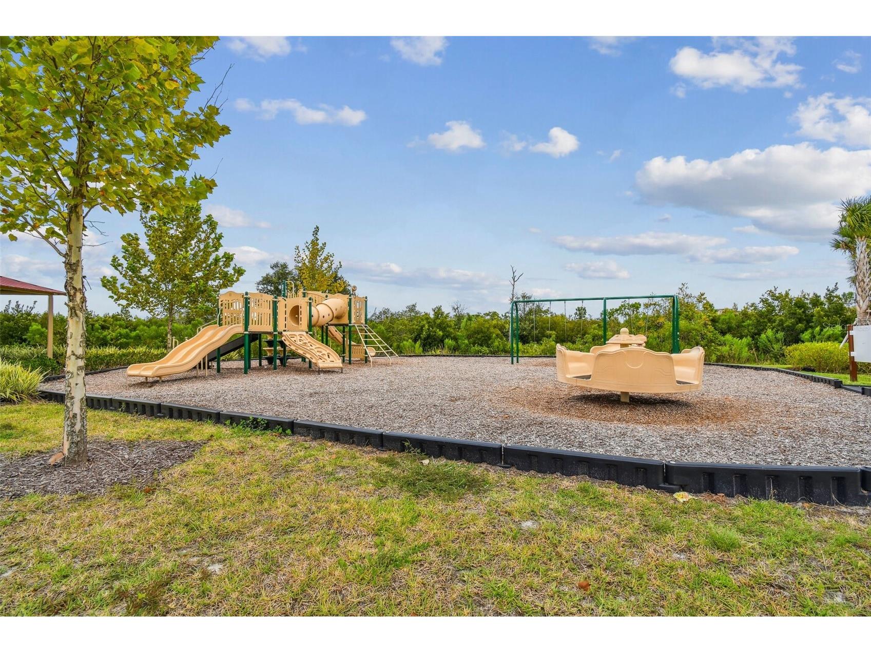 33405 Hamilton Hill Lane Wesley Chapel FL 33545 TB8497065 image54