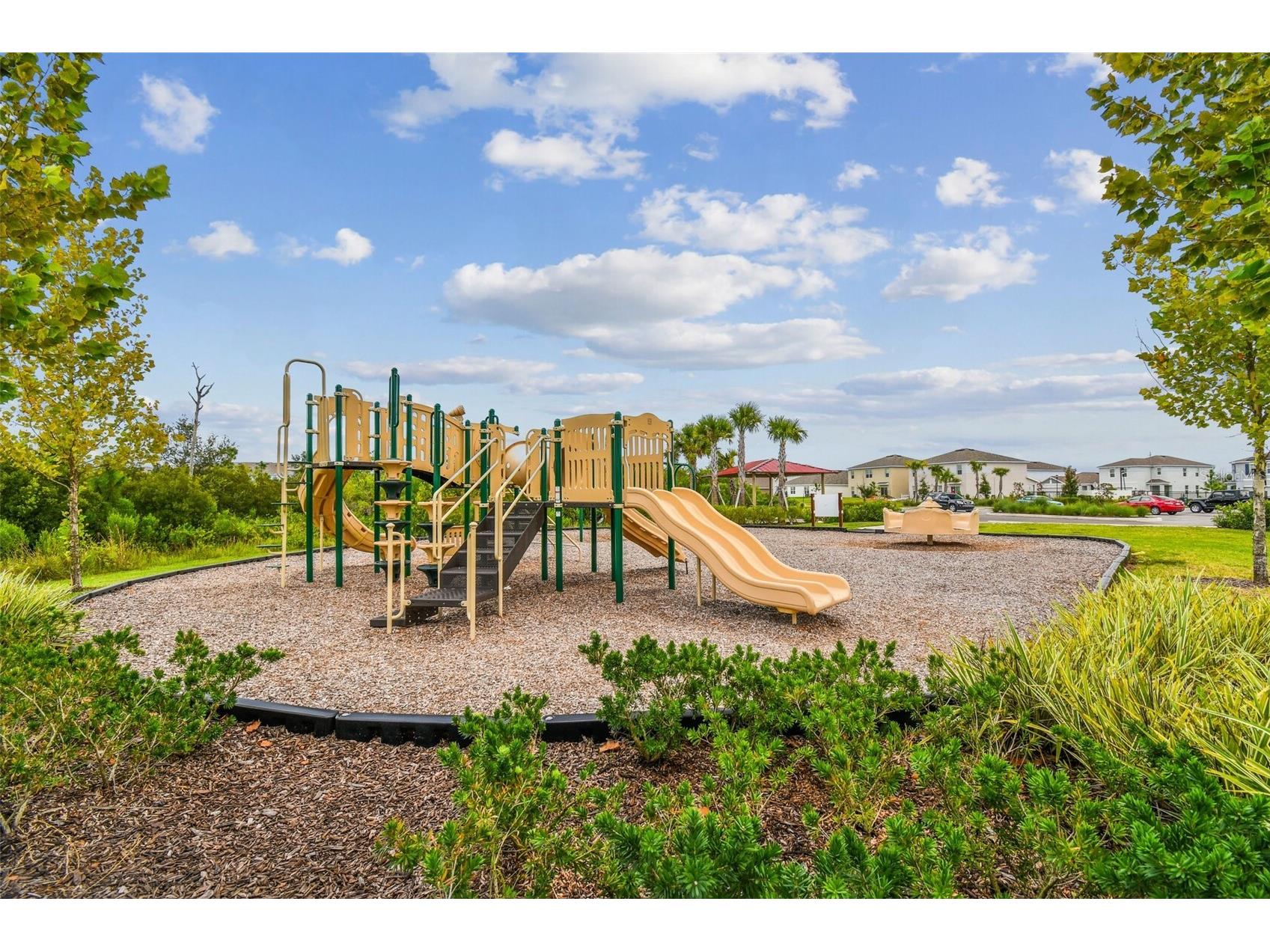33405 Hamilton Hill Lane Wesley Chapel FL 33545 TB8497065 image55