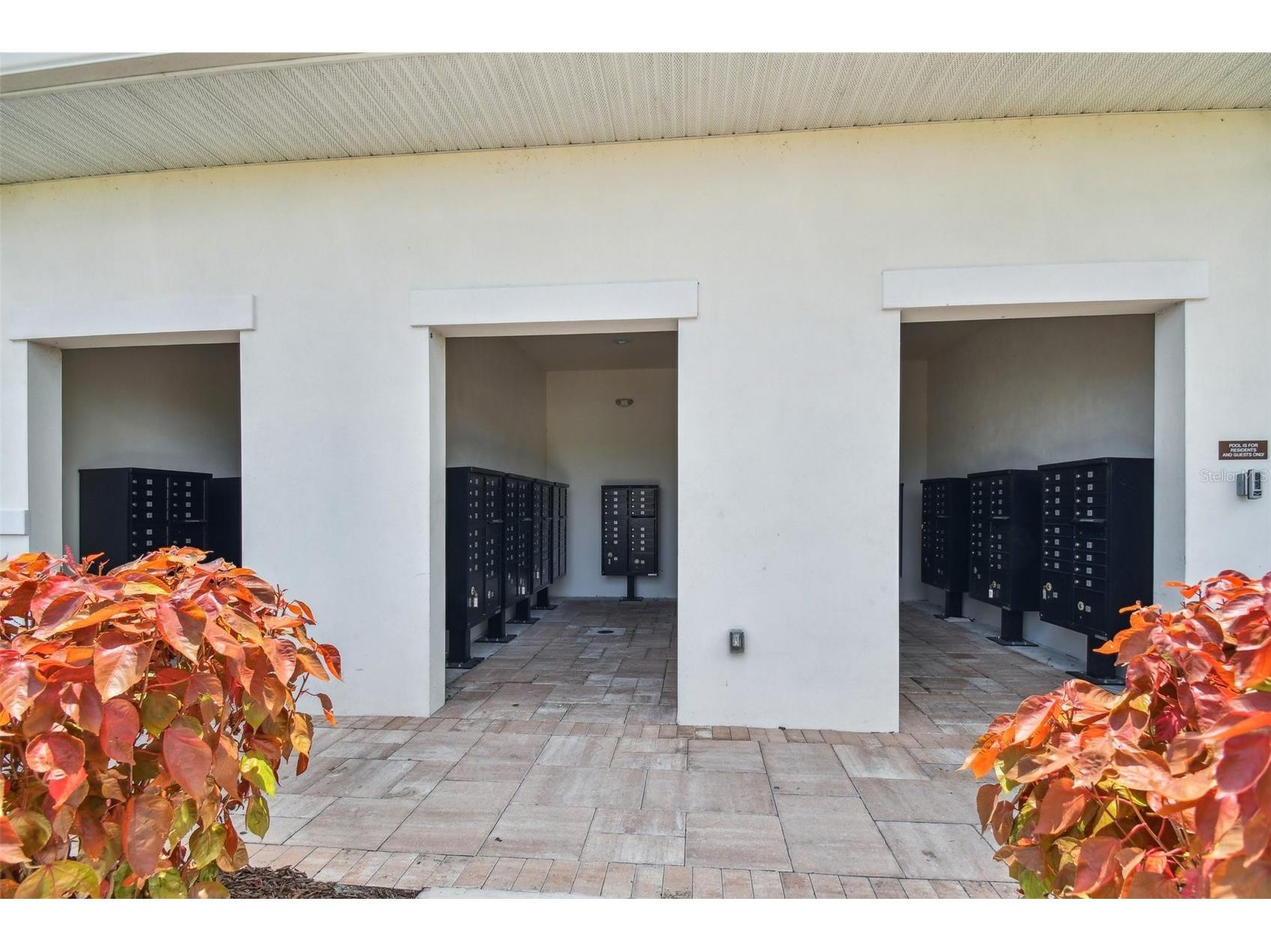 33405 Hamilton Hill Lane Wesley Chapel FL 33545 TB8497065 image59