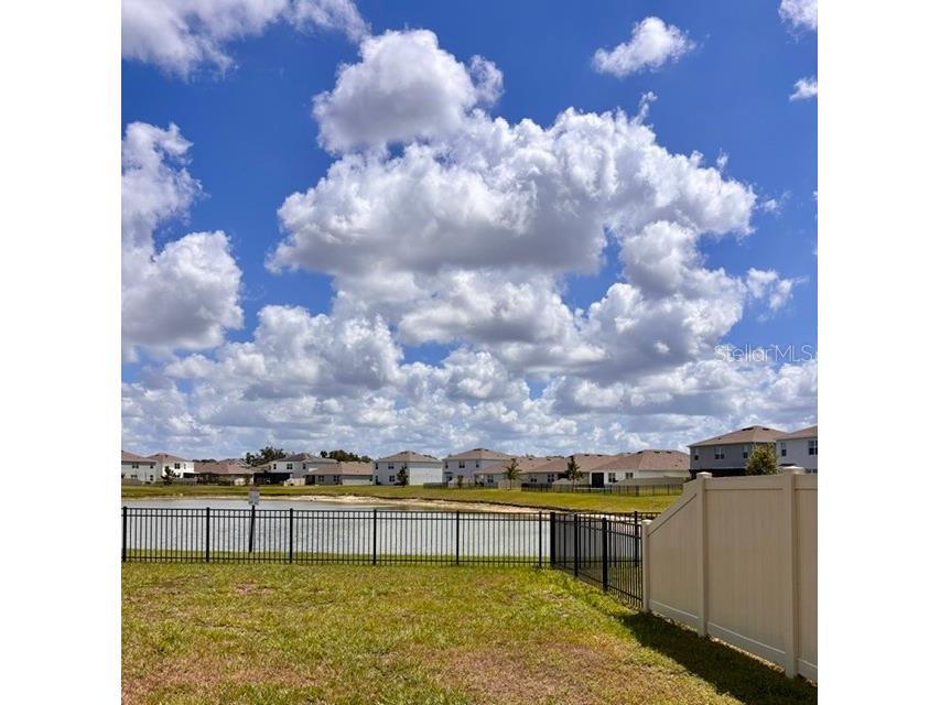 33405 Hamilton Hill Lane Wesley Chapel FL 33545 TB8497065 image62