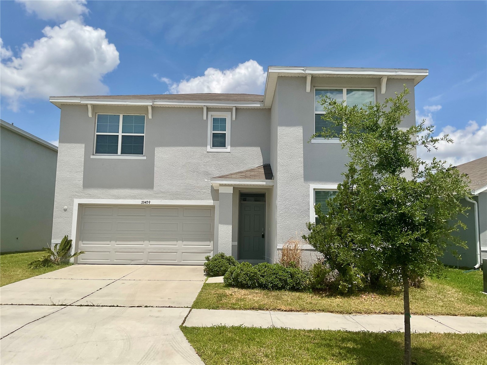 33409 Field Maple Loop Wesley Chapel FL 33545 TB8507104 image1