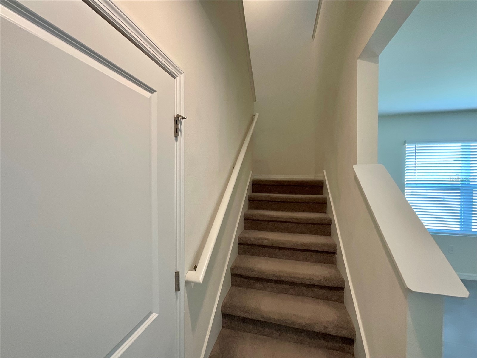 33409 Field Maple Loop Wesley Chapel FL 33545 TB8507104 image11