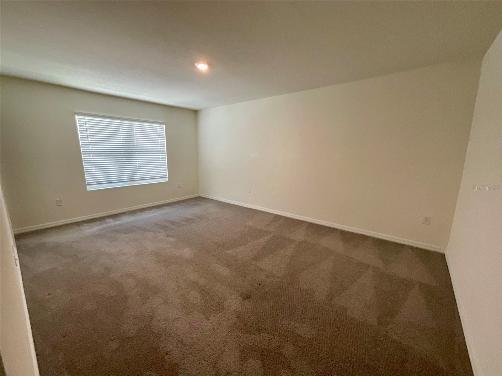 33409 Field Maple Loop Wesley Chapel FL 33545 TB8507104 image13