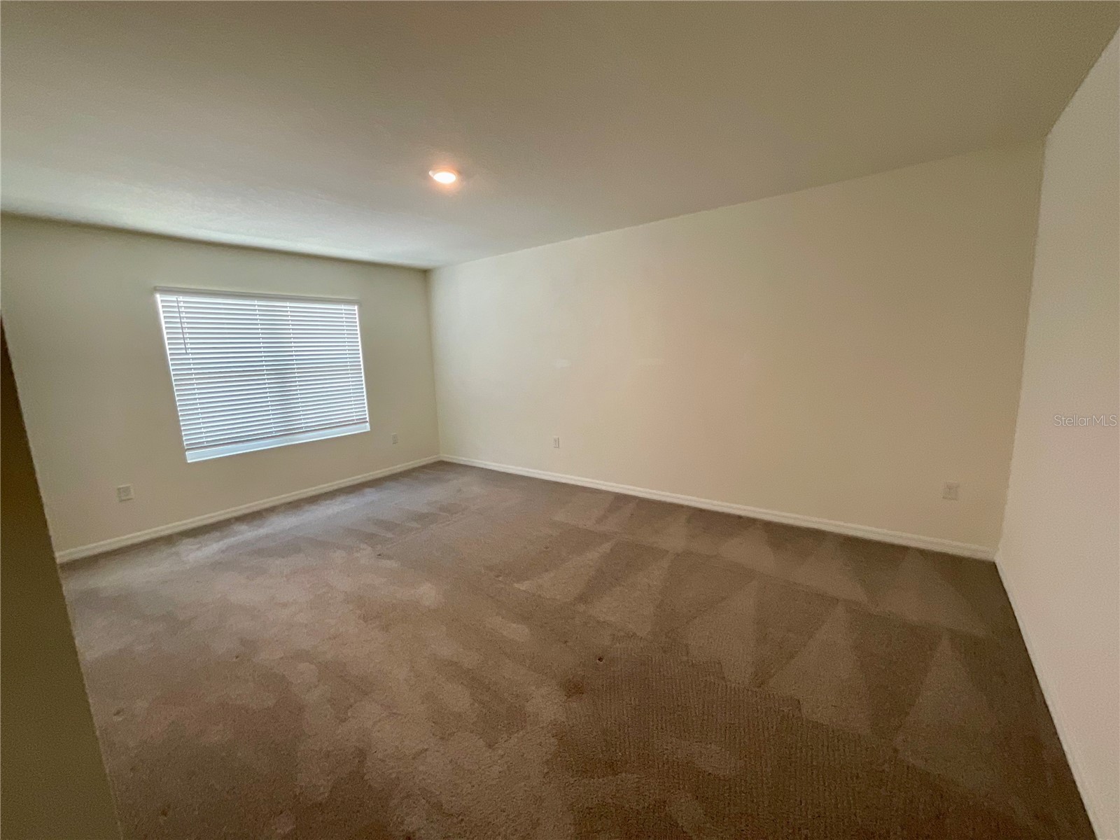 33409 Field Maple Loop Wesley Chapel FL 33545 TB8507104 image14