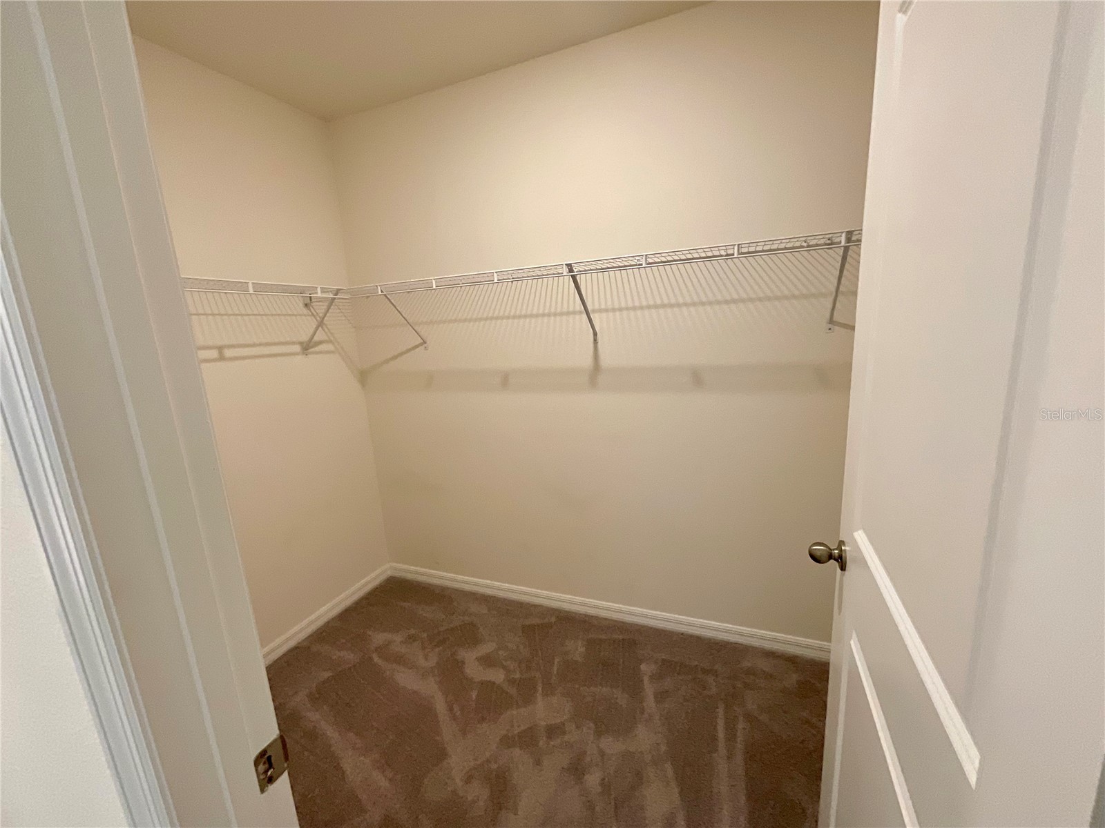 33409 Field Maple Loop Wesley Chapel FL 33545 TB8507104 image19
