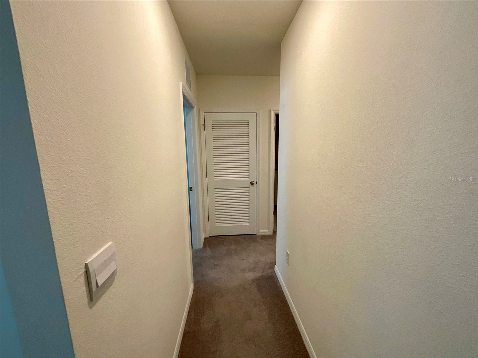 33409 Field Maple Loop Wesley Chapel FL 33545 TB8507104 image20