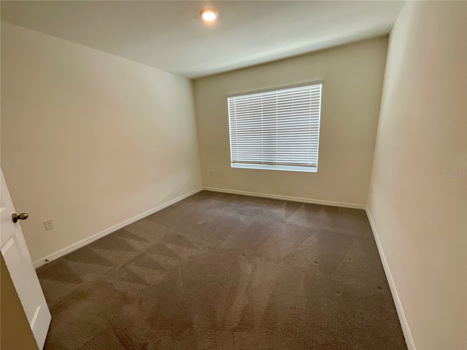 33409 Field Maple Loop Wesley Chapel FL 33545 TB8507104 image23