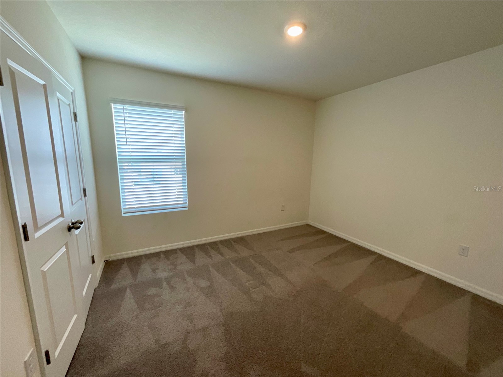 33409 Field Maple Loop Wesley Chapel FL 33545 TB8507104 image25