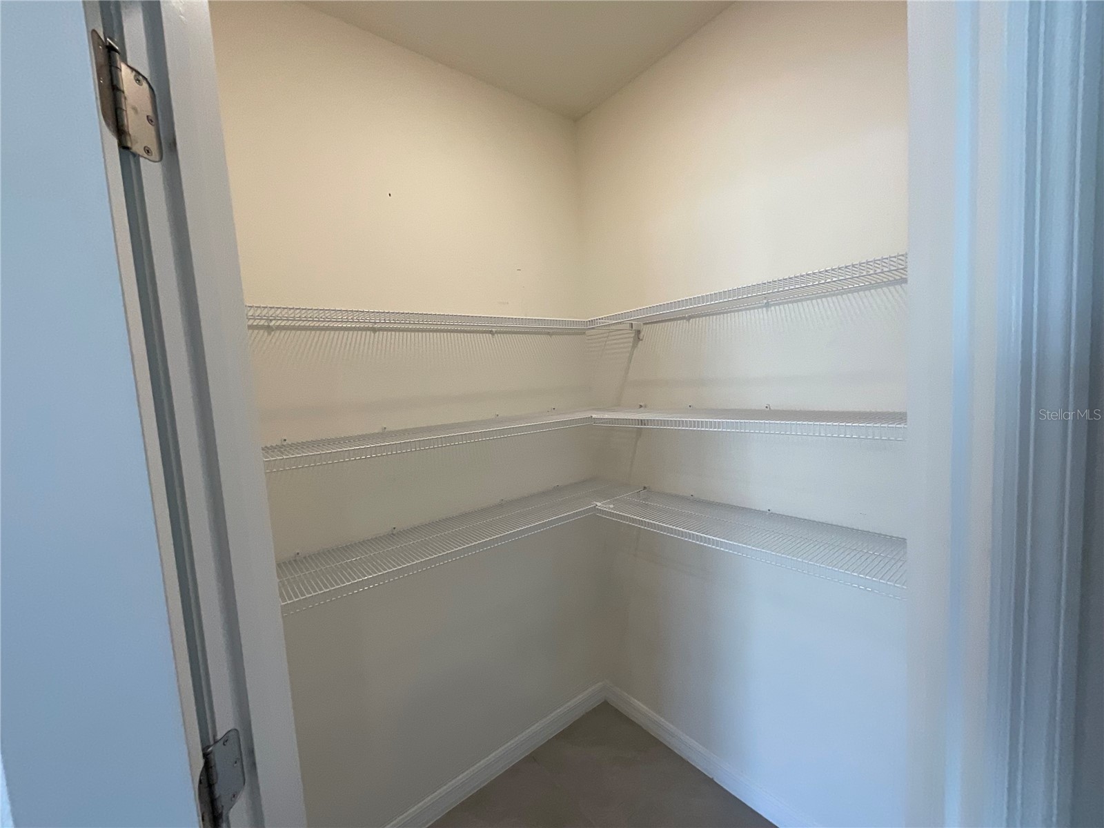 33409 Field Maple Loop Wesley Chapel FL 33545 TB8507104 image7