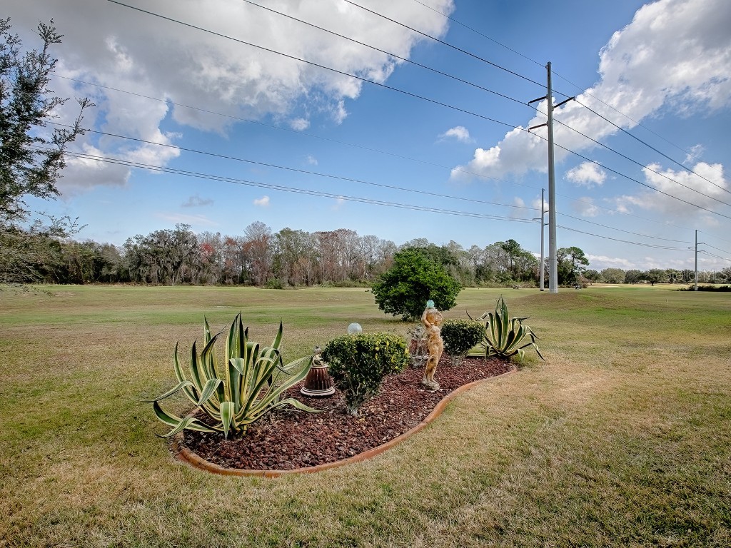 33409 Pennbrooke Parkway Leesburg FL 34748 G5092982 image32