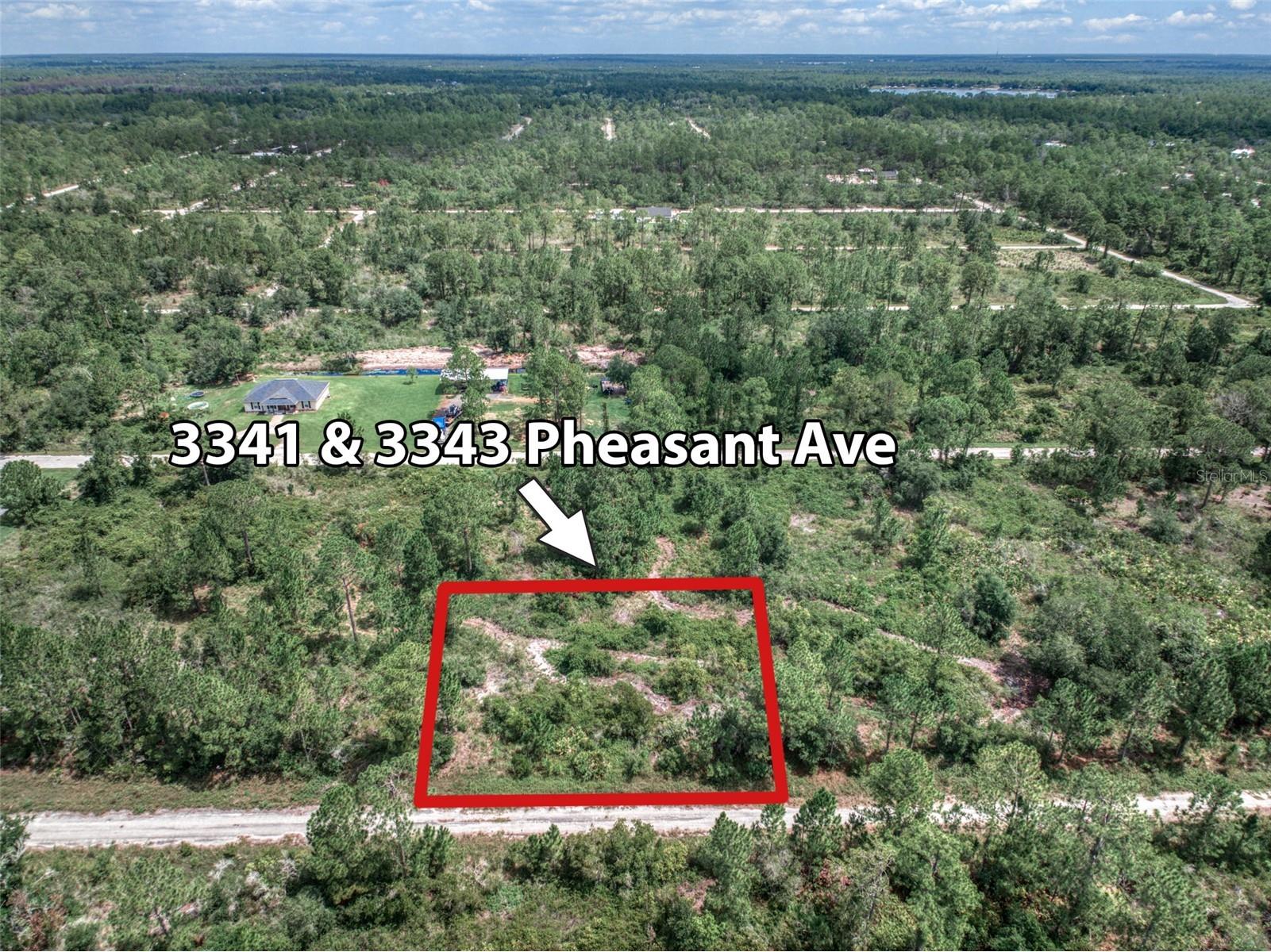 3341 & 3343 Pheasant Avenue Lake Placid FL 33852 OM719325 image1