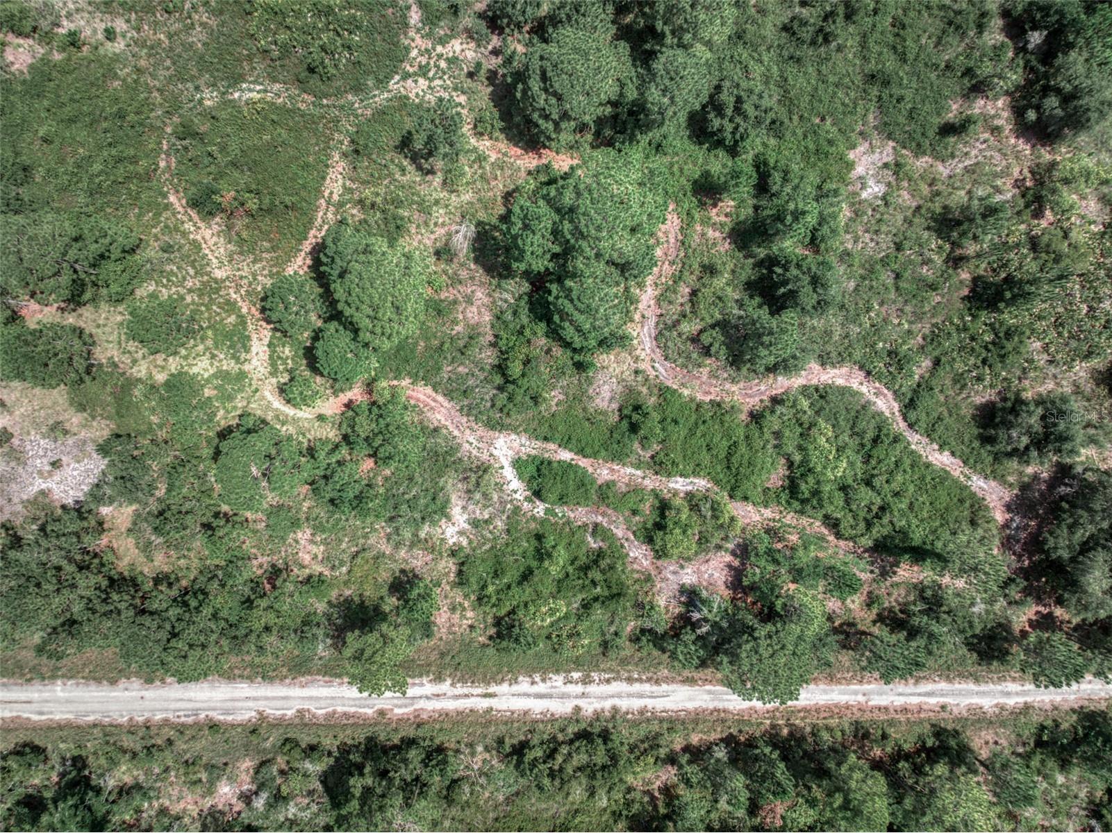 3341 & 3343 Pheasant Avenue Lake Placid FL 33852 OM719325 image10