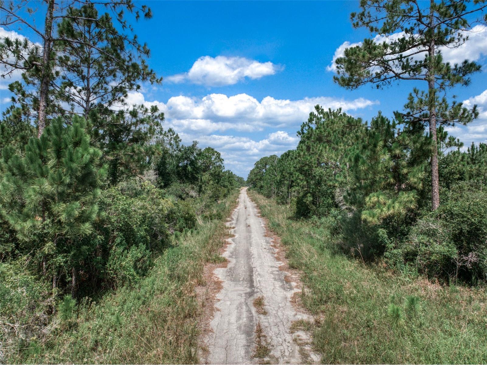 3341 & 3343 Pheasant Avenue Lake Placid FL 33852 OM719325 image11