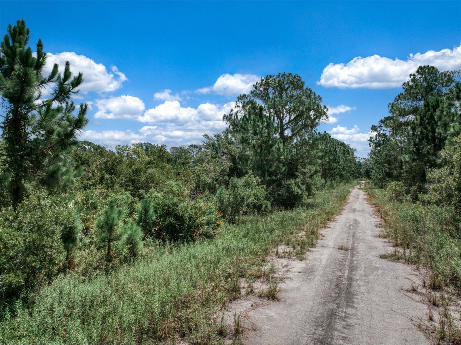 3341 & 3343 Pheasant Avenue Lake Placid FL 33852 OM719325 image12