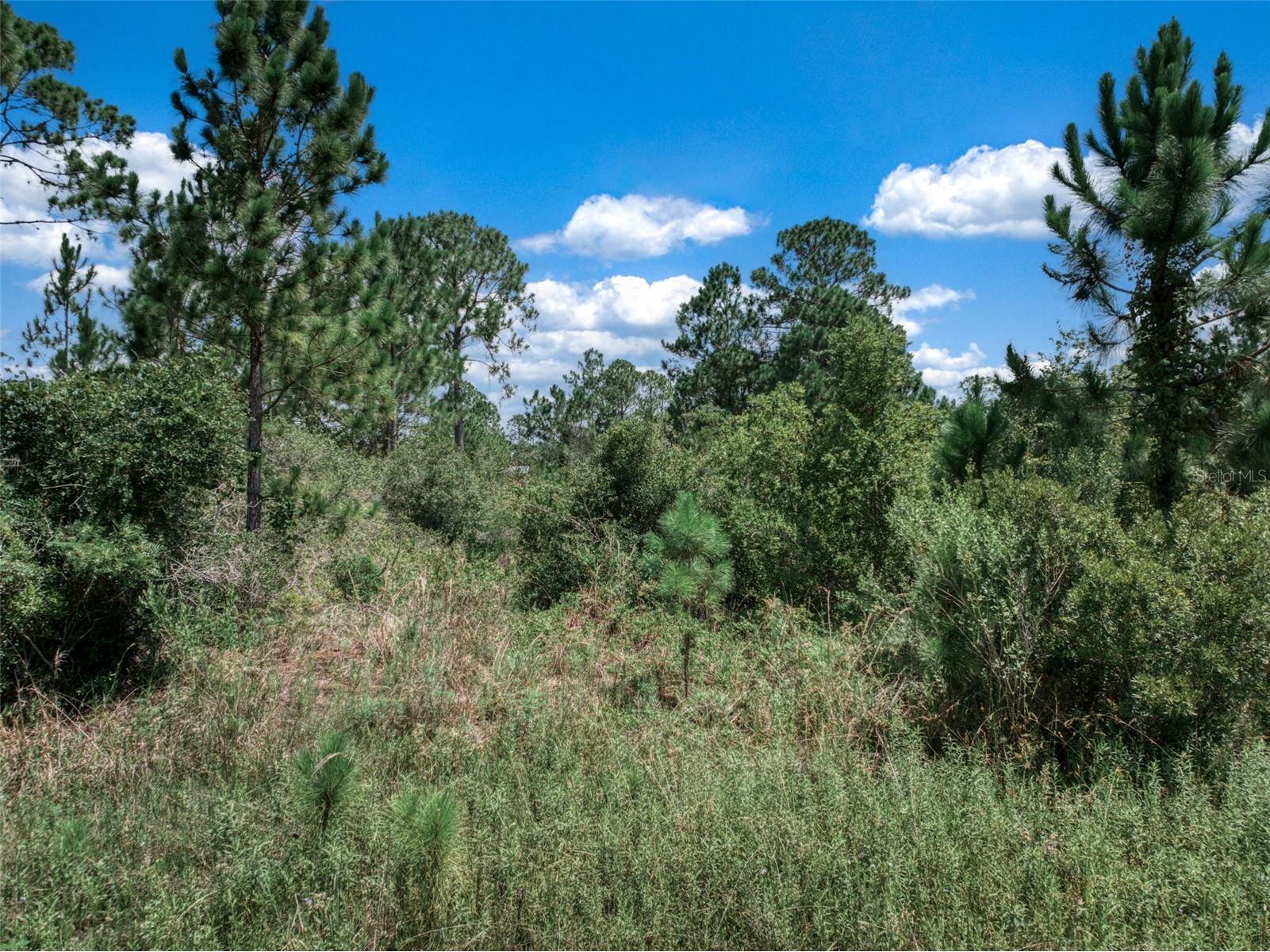 3341 & 3343 Pheasant Avenue Lake Placid FL 33852 OM719325 image13