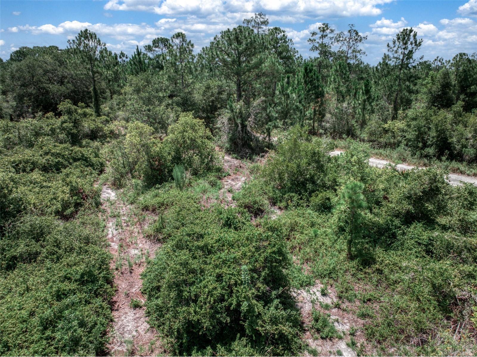 3341 & 3343 Pheasant Avenue Lake Placid FL 33852 OM719325 image14