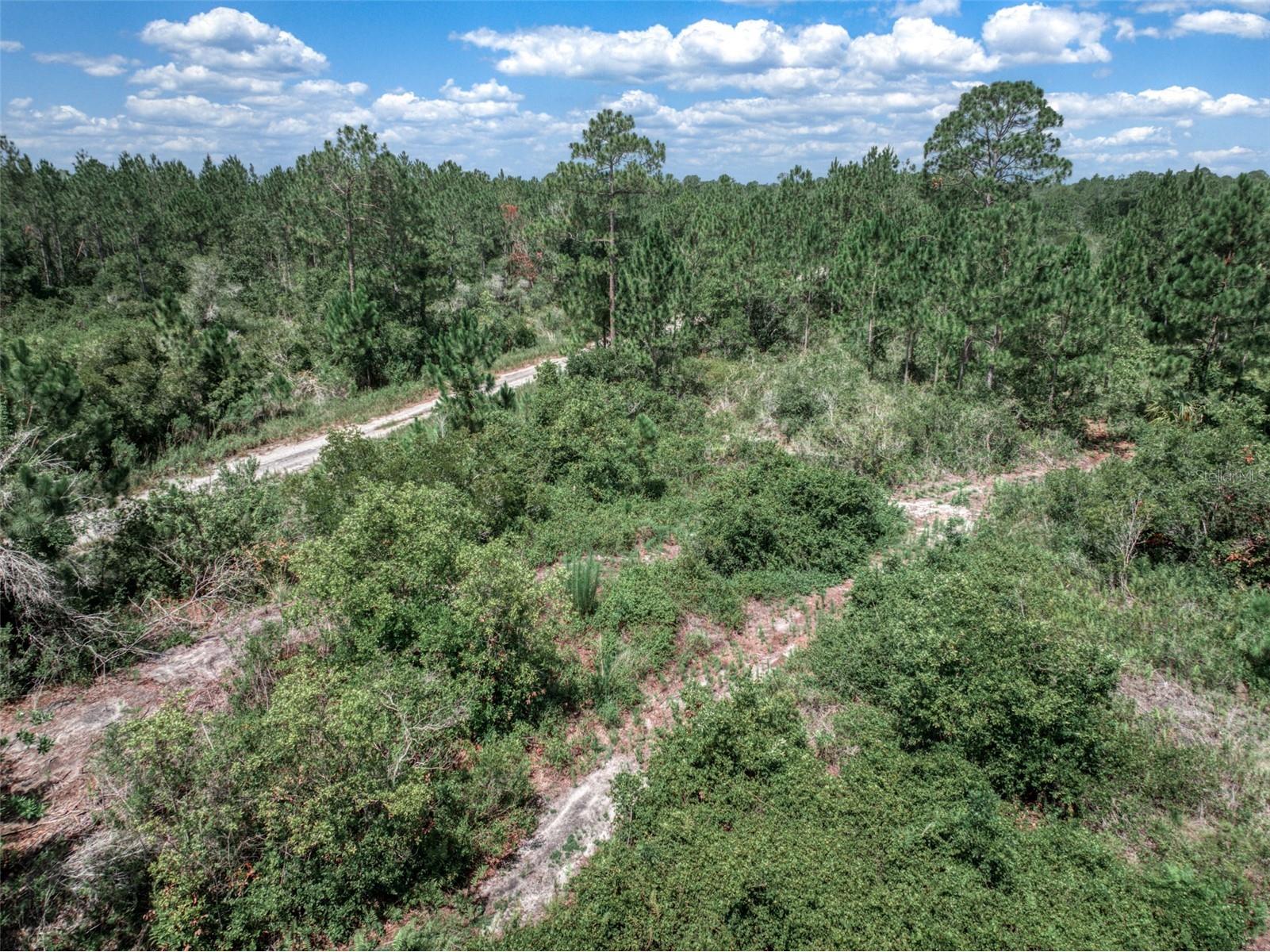 3341 & 3343 Pheasant Avenue Lake Placid FL 33852 OM719325 image15