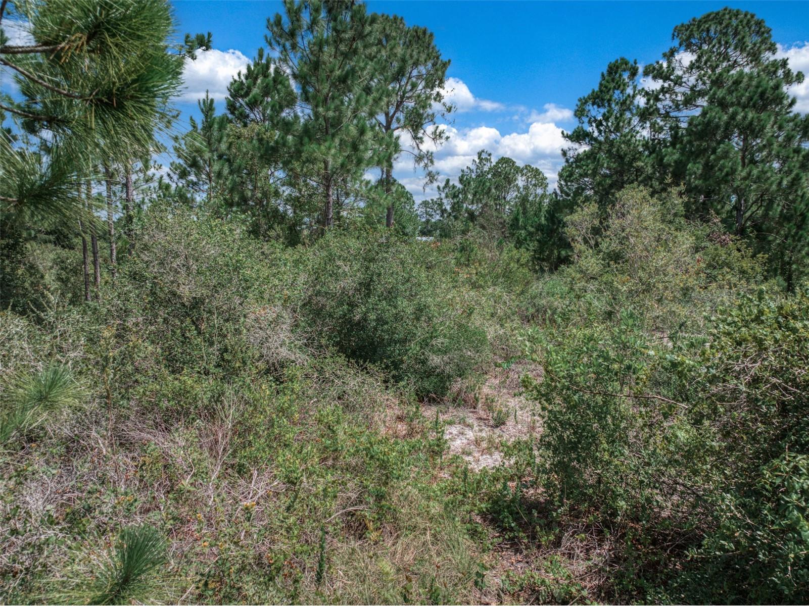 3341 & 3343 Pheasant Avenue Lake Placid FL 33852 OM719325 image16