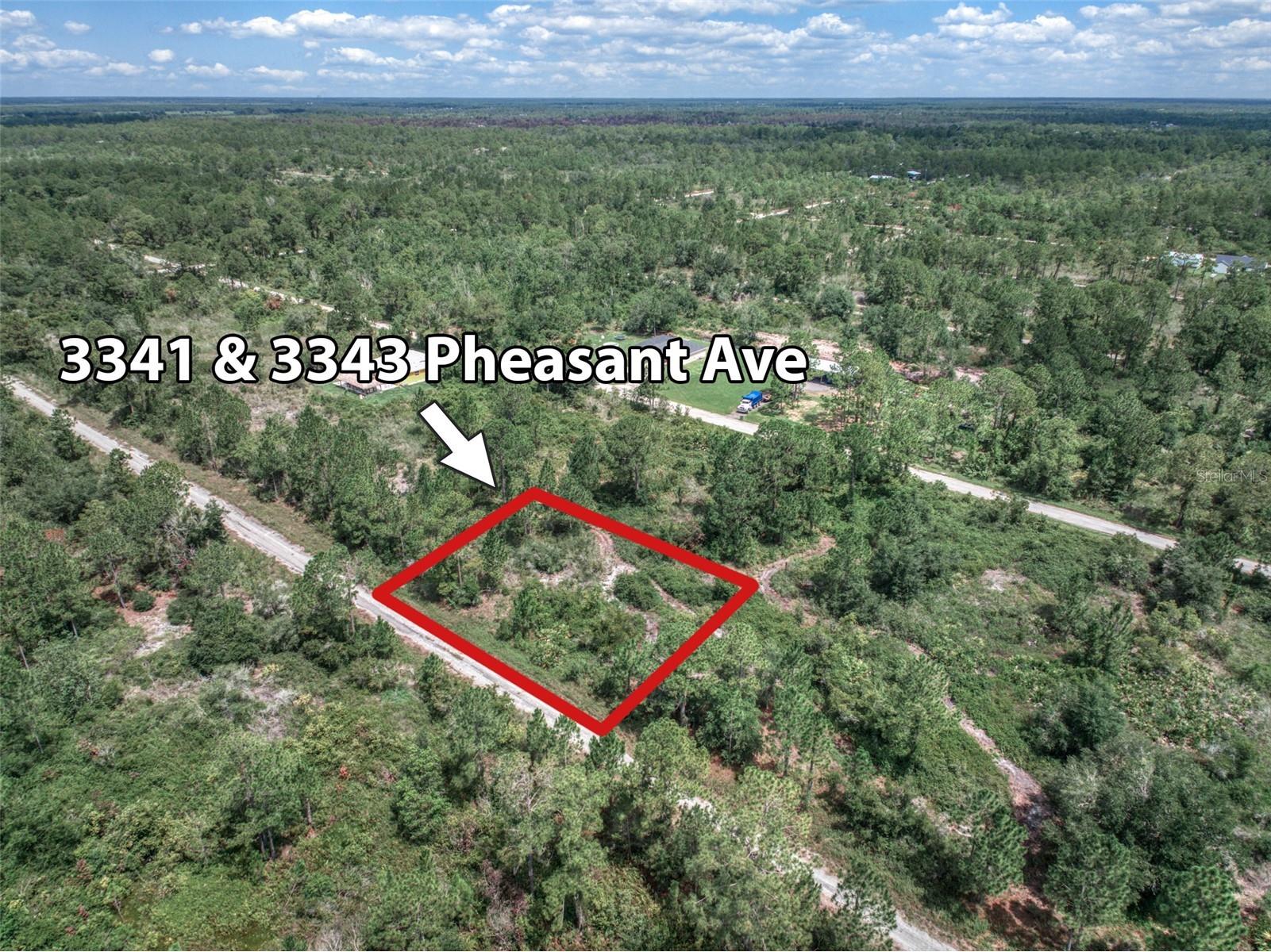 3341 & 3343 Pheasant Avenue Lake Placid FL 33852 OM719325 image3