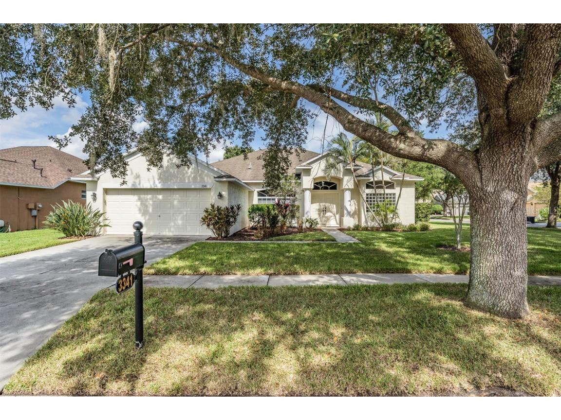 3341 Ashmonte Drive Land O Lakes FL 34638 T3334006 image1