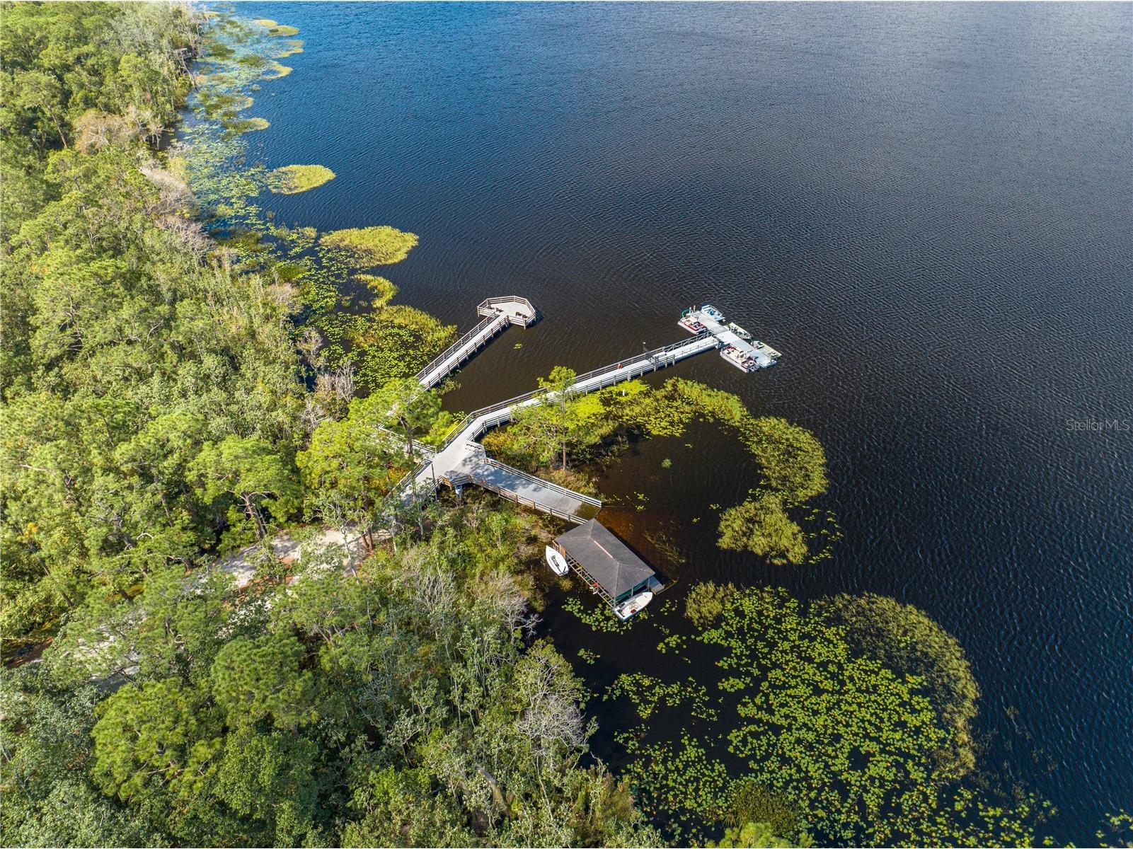 3341 Bracken Fern Drive Harmony FL 34773 S5137613 image51