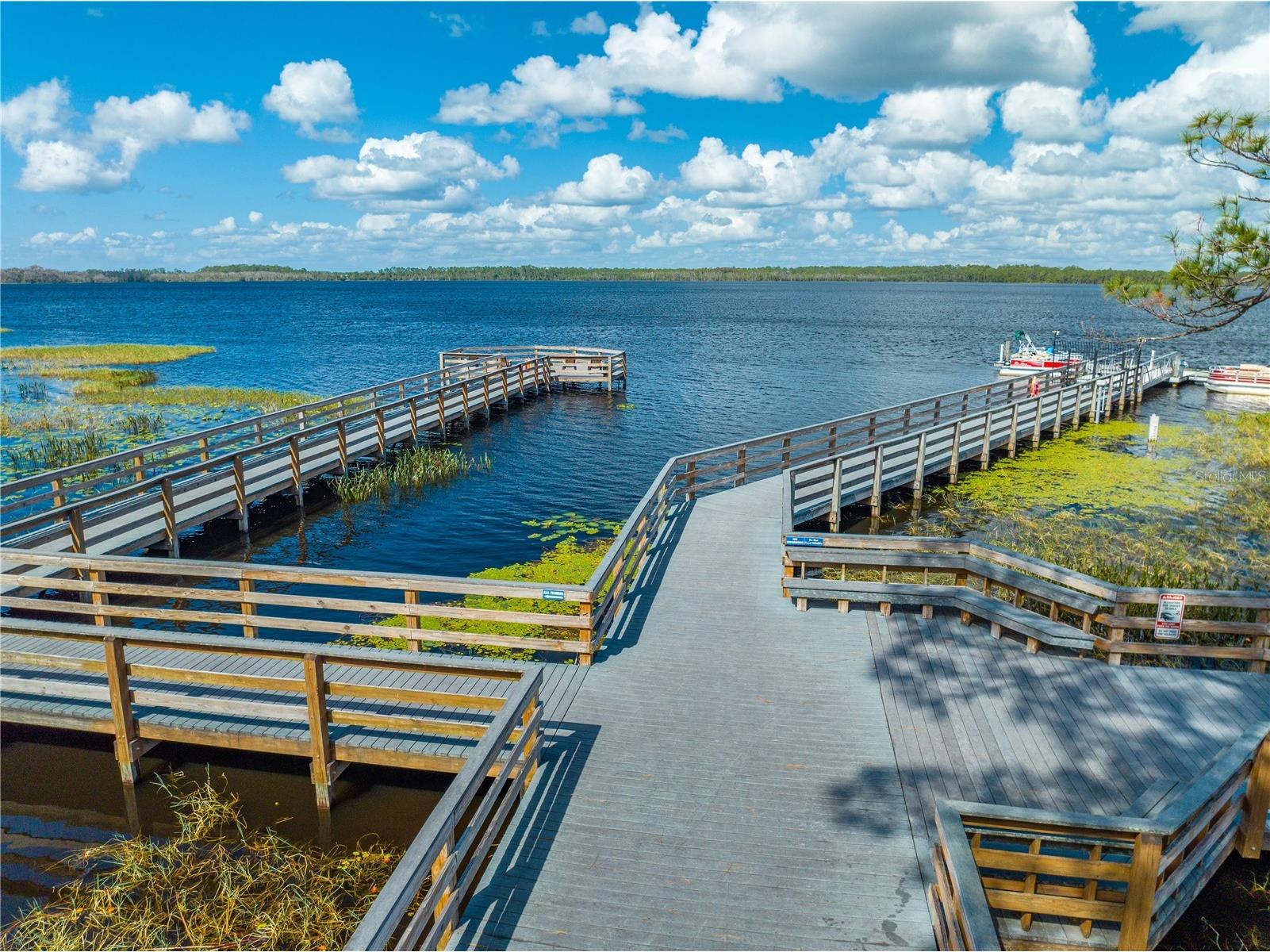 3341 Bracken Fern Drive Harmony FL 34773 S5137613 image52