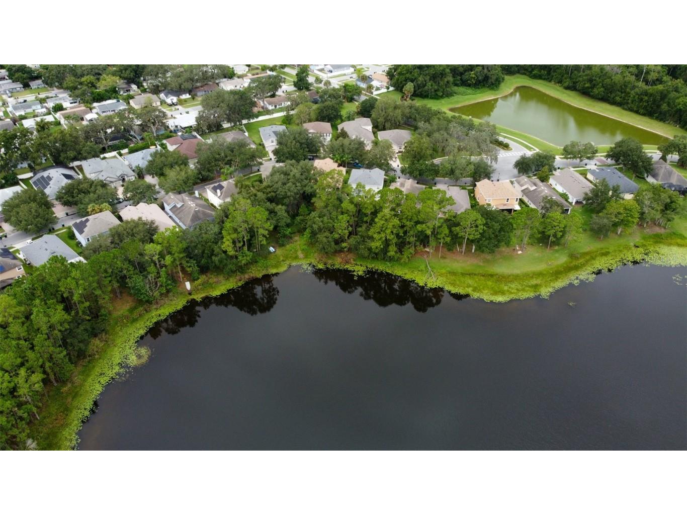 3341 Lake Jean Drive Orlando FL 32817 - LAKE JEAN O6338975 image3