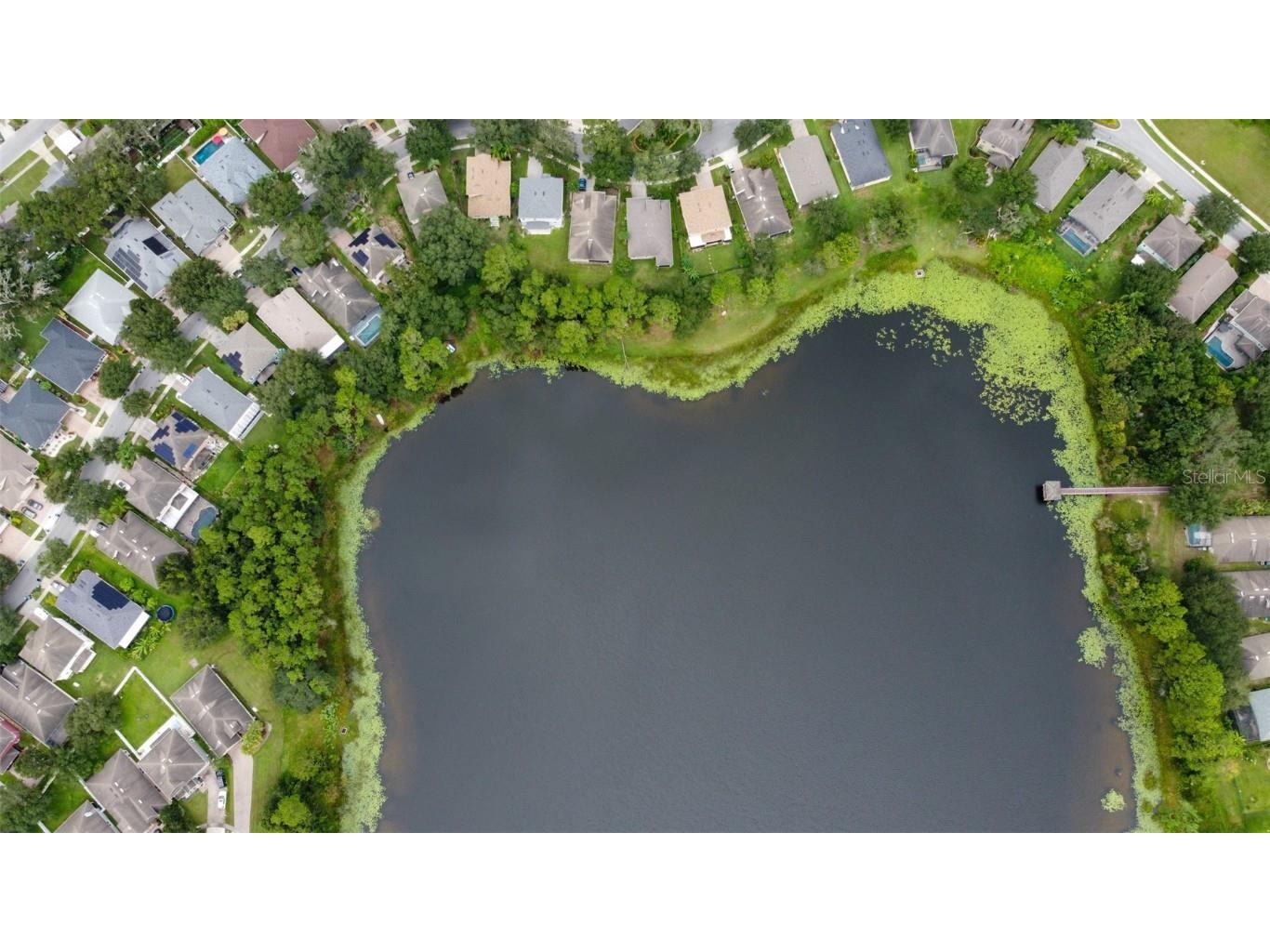 3341 Lake Jean Drive Orlando FL 32817 - LAKE JEAN O6338975 image56