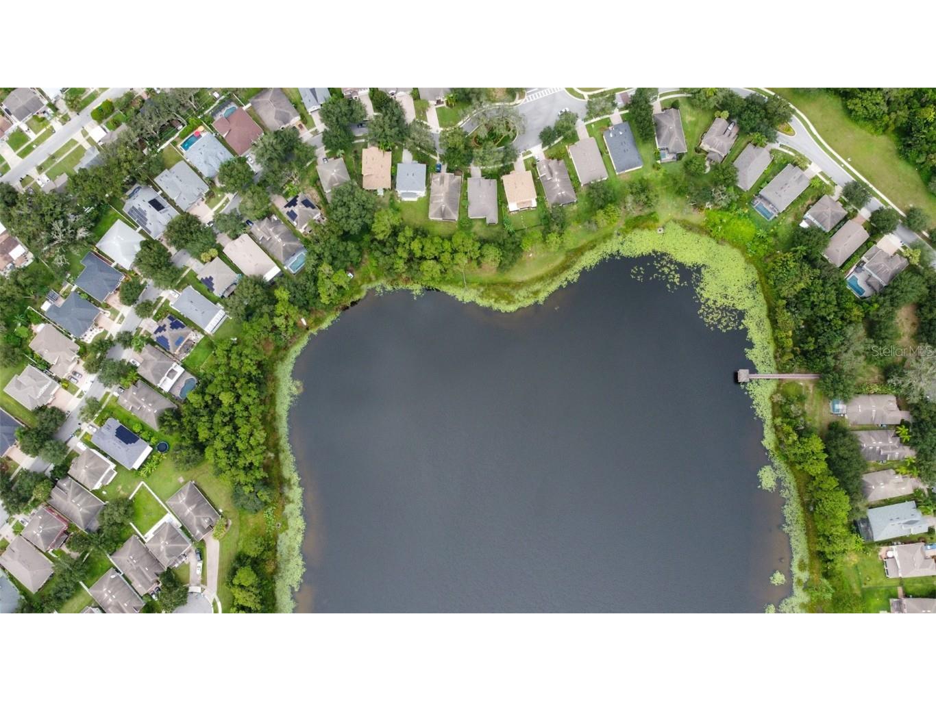 3341 Lake Jean Drive Orlando FL 32817 - LAKE JEAN O6338975 image57