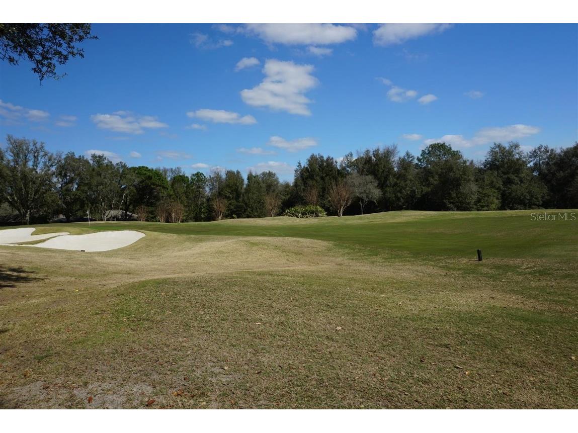 3341 N Hidden Valley Point Lecanto FL 34461 OM655838 image1