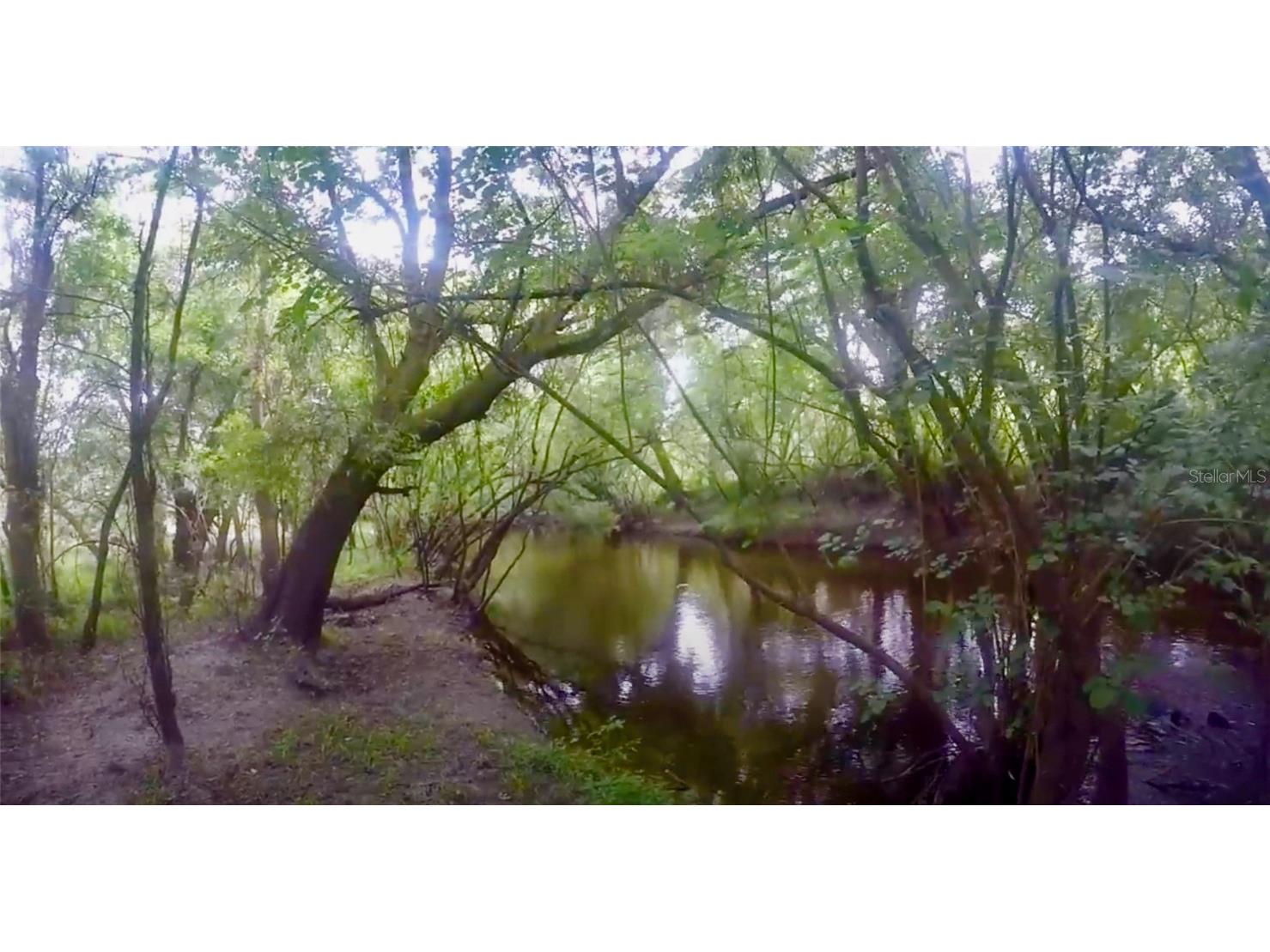 3341 River Estates Drive Wimauma FL 33598 - LITTLE MANATEE RIVER T3349188 image1