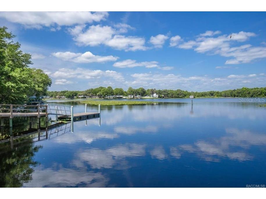 3341 S Jean Point Inverness FL 34450 OM716108 image32