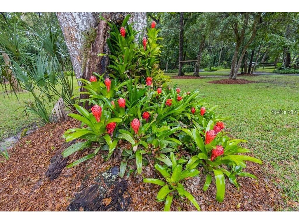 3341 SE 45th Street Ocala FL 34480 OM723600 image40