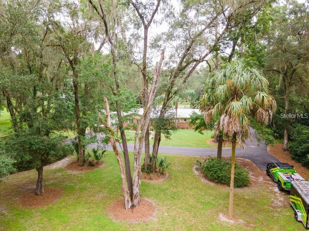3341 SE 45th Street Ocala FL 34480 OM723600 image52