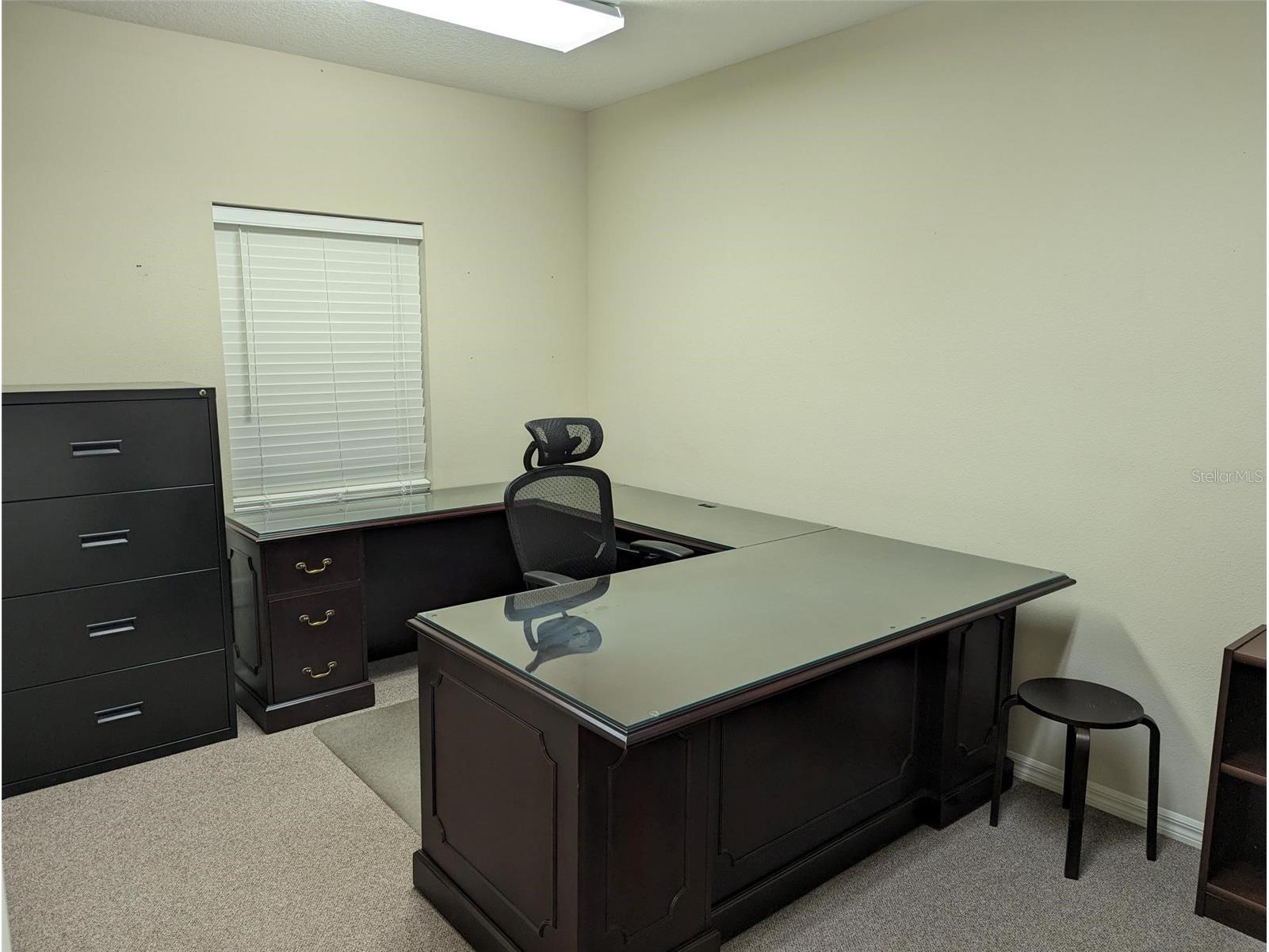 3341 W Bearss Avenue Tampa FL 33618 TB8506777 image17