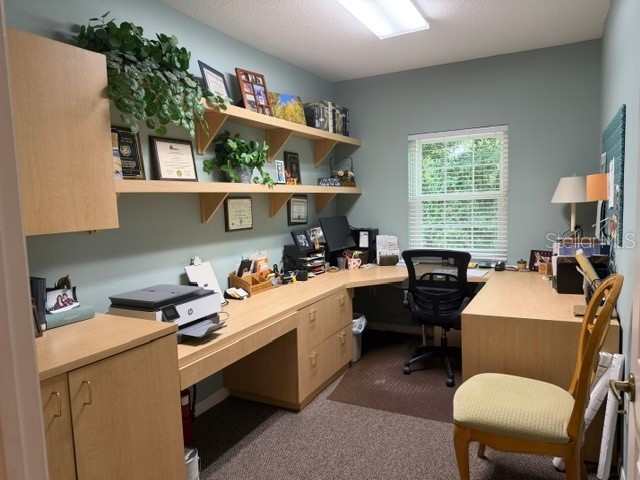 3341 W Bearss Avenue Tampa FL 33618 TB8506777 image8