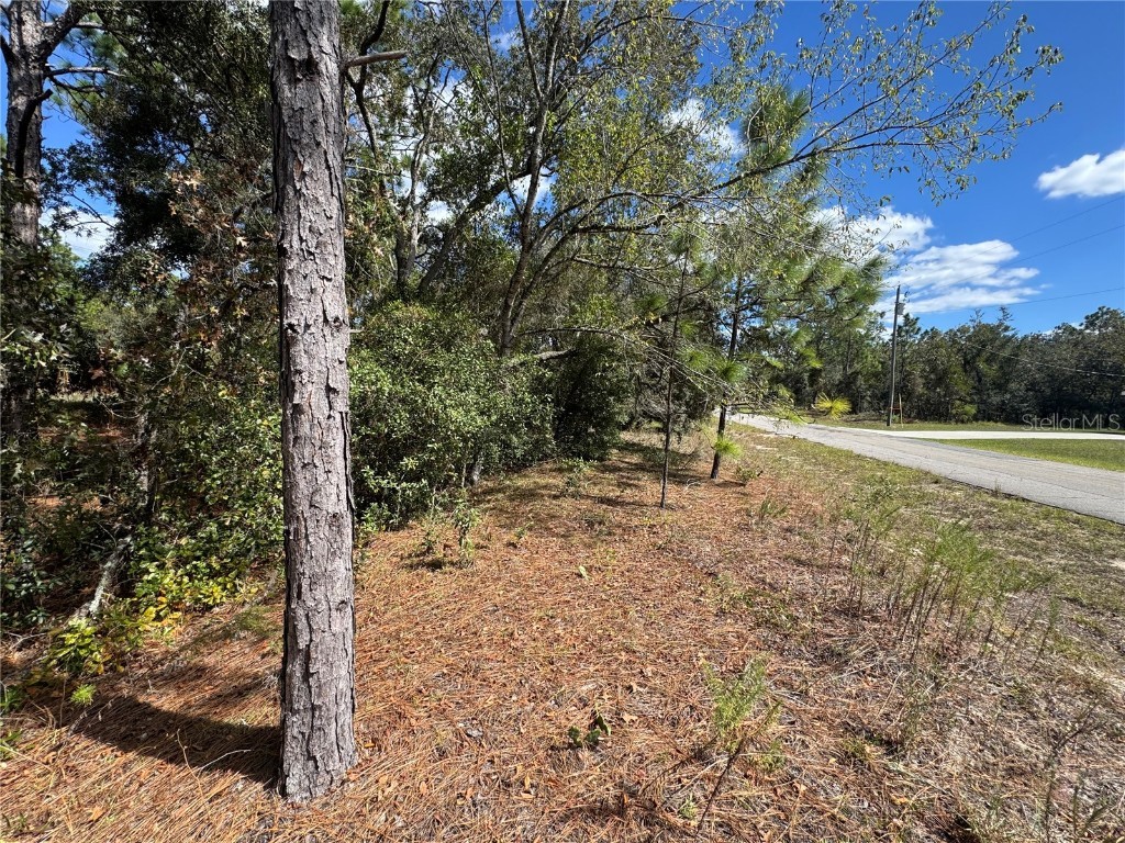 3341 W Wilhelm Street Citrus Springs FL 34433 TB8431326 image10