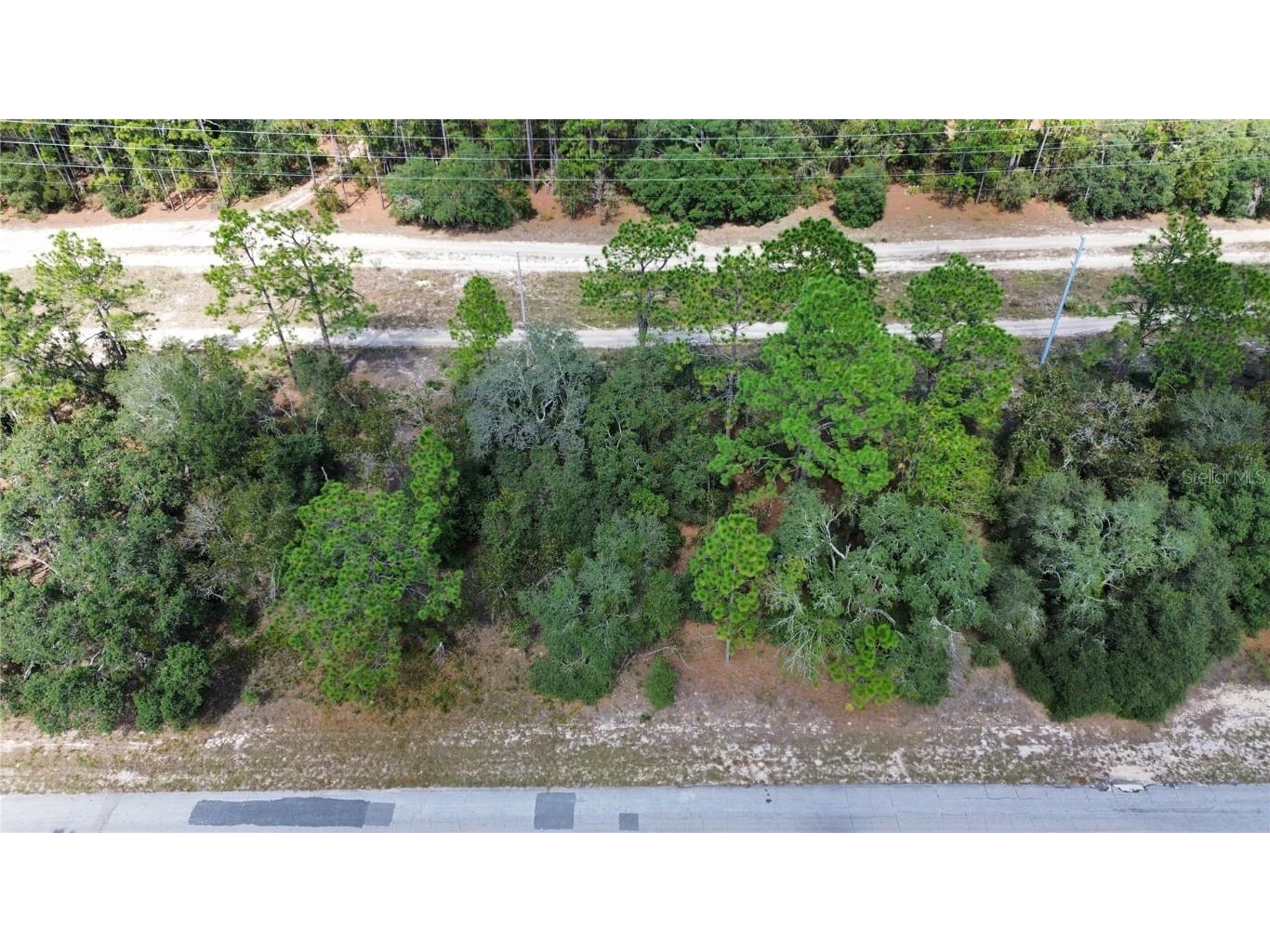 3341 W Wilhelm Street Citrus Springs FL 34433 TB8431326 image11