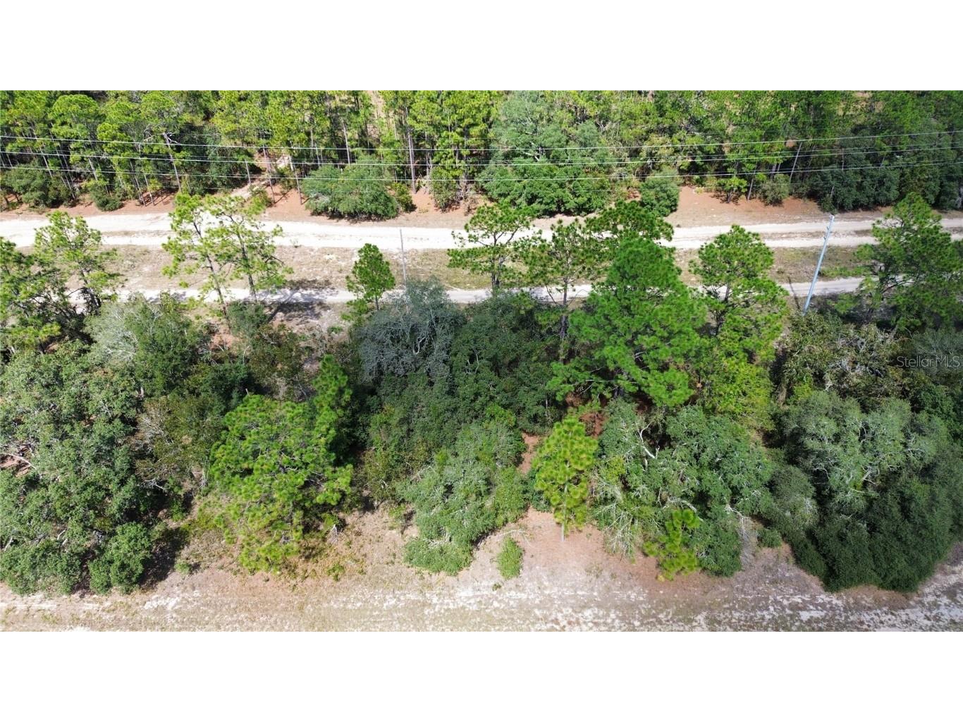 3341 W Wilhelm Street Citrus Springs FL 34433 TB8431326 image2