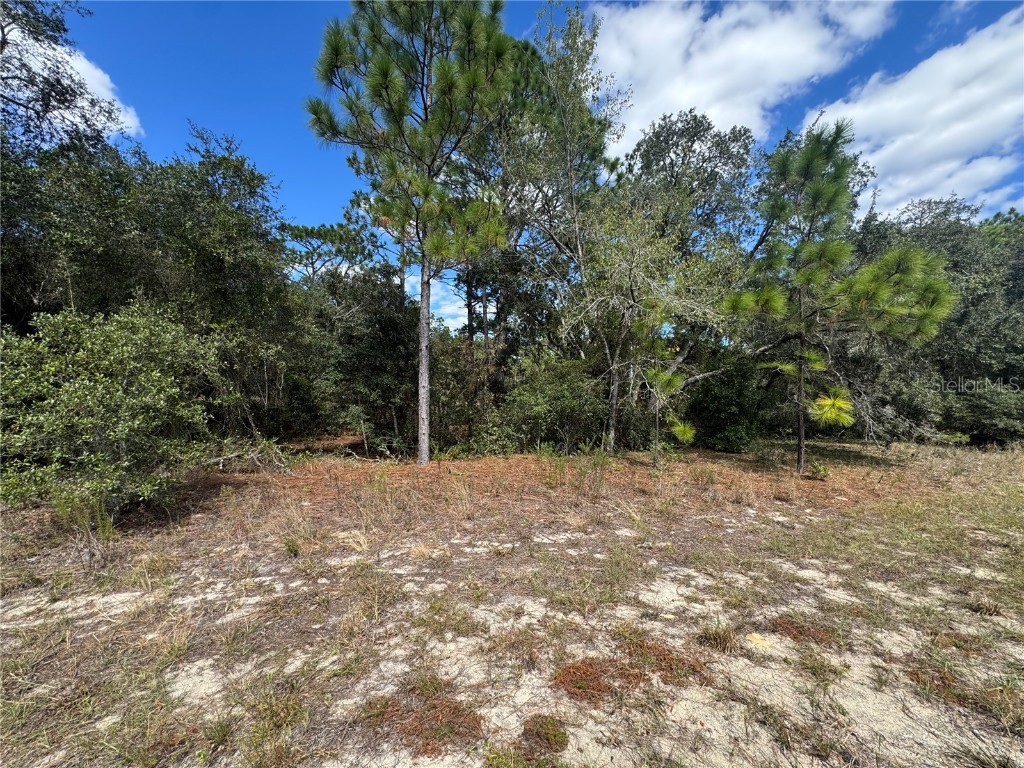 3341 W Wilhelm Street Citrus Springs FL 34433 TB8431326 image3