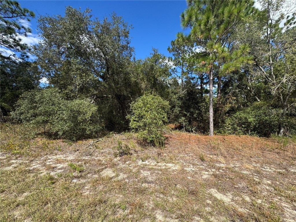 3341 W Wilhelm Street Citrus Springs FL 34433 TB8431326 image4